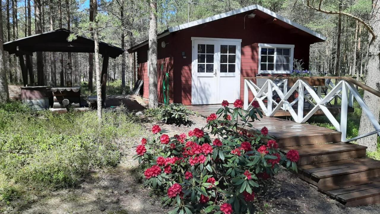 Nova Madise Guesthouse Rannaküla Buitenkant foto