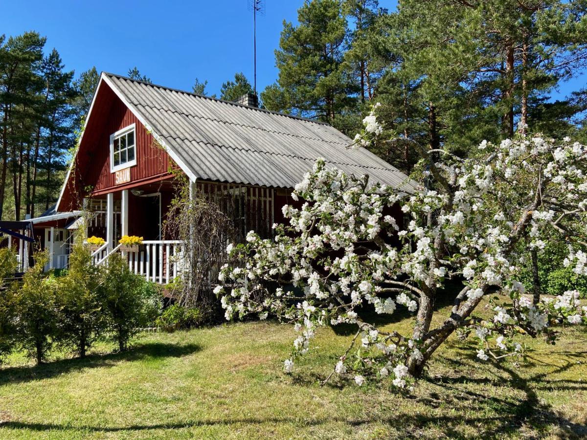 Nova Madise Guesthouse Rannaküla Buitenkant foto